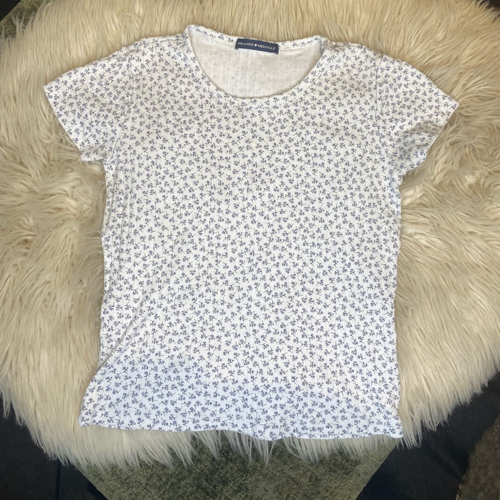 Brandy Melville Blue Floral Top